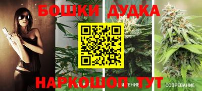метадон Новодвинск