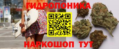 ешки Новокубанск
