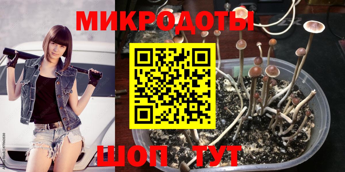 Сосновый Бор  Псилоцибиновые грибы Psilocybine cubensis  Вход с VPN  Псилоцибиновые грибы ЛСД 