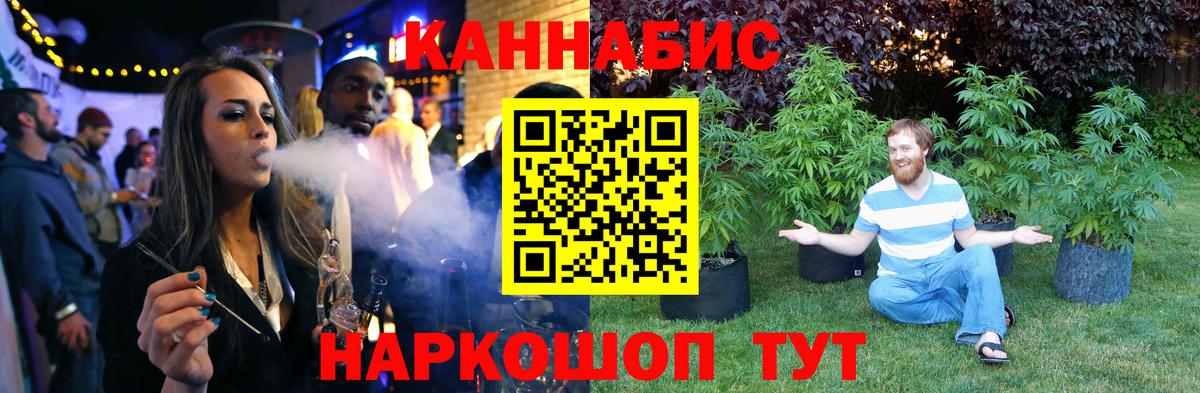 Сосновый Бор  Канабис конопля  МАРИХУАНА семена  Конопля конопля  Вход с VPN 